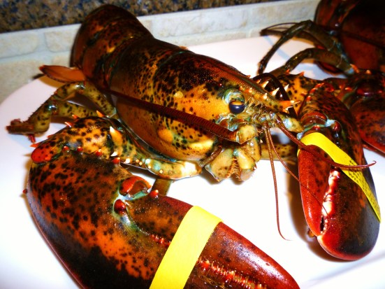 P1000489 Team Gluttony Captain "Let's just say we'd have a throw down if I didn't have these rubber bands to hold me back."