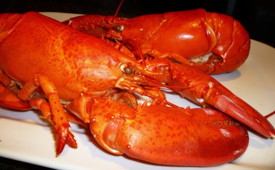 P1000499 Oh... I'm sorry. Where you talking shit to me?