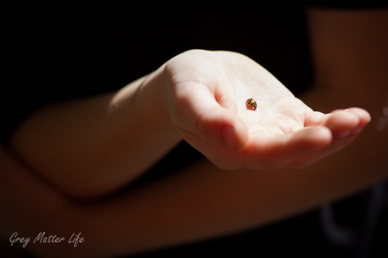 little things web ready wm (1 of 1)